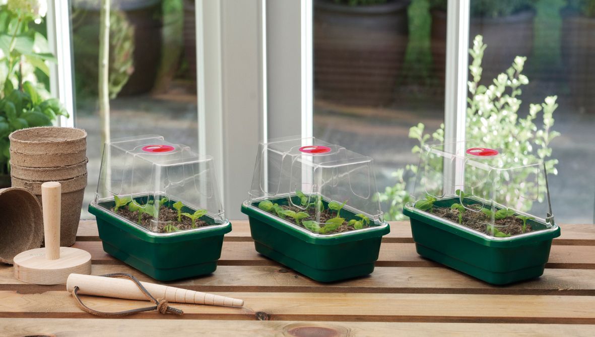 GARLAND Mini Propagator |  17 x 10 x 12,5 cm | 3 er Set