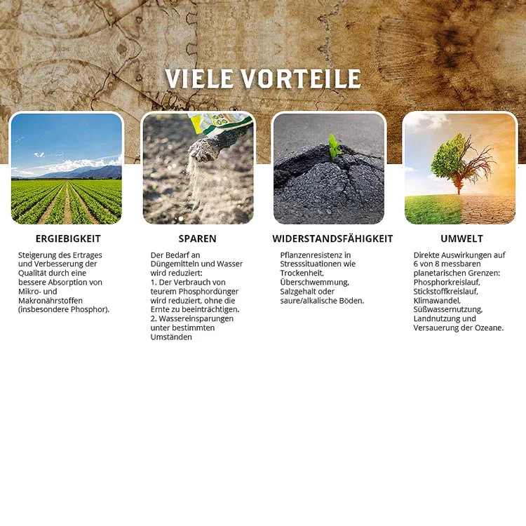 DYNOMYCO® Mykorrhiza Inokulant 100 g | 200 g | 340 g | 750 g