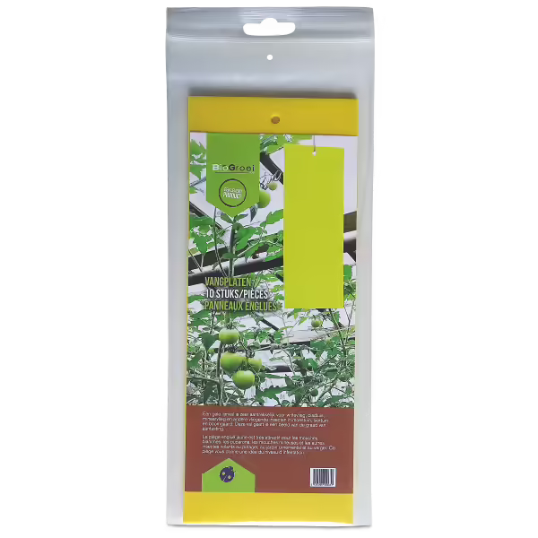 BioGrowi Gelbe Klebetafeln 10x25cm 10 Stück - EigenGrow