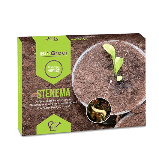 BioGrowi Stenema 2 Nematoden gegen Trauermücken - EigenGrow