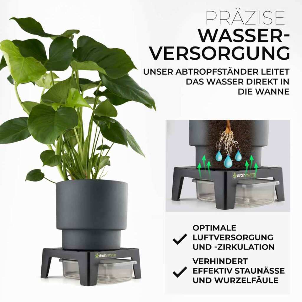 DrainMaster Abtropfständer Einzelset (inkl. Wanne) - EigenGrow