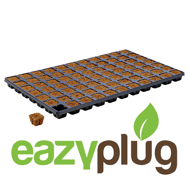 EazyPlug Anzucht Plugs 77 Stück im Tray - EigenGrow