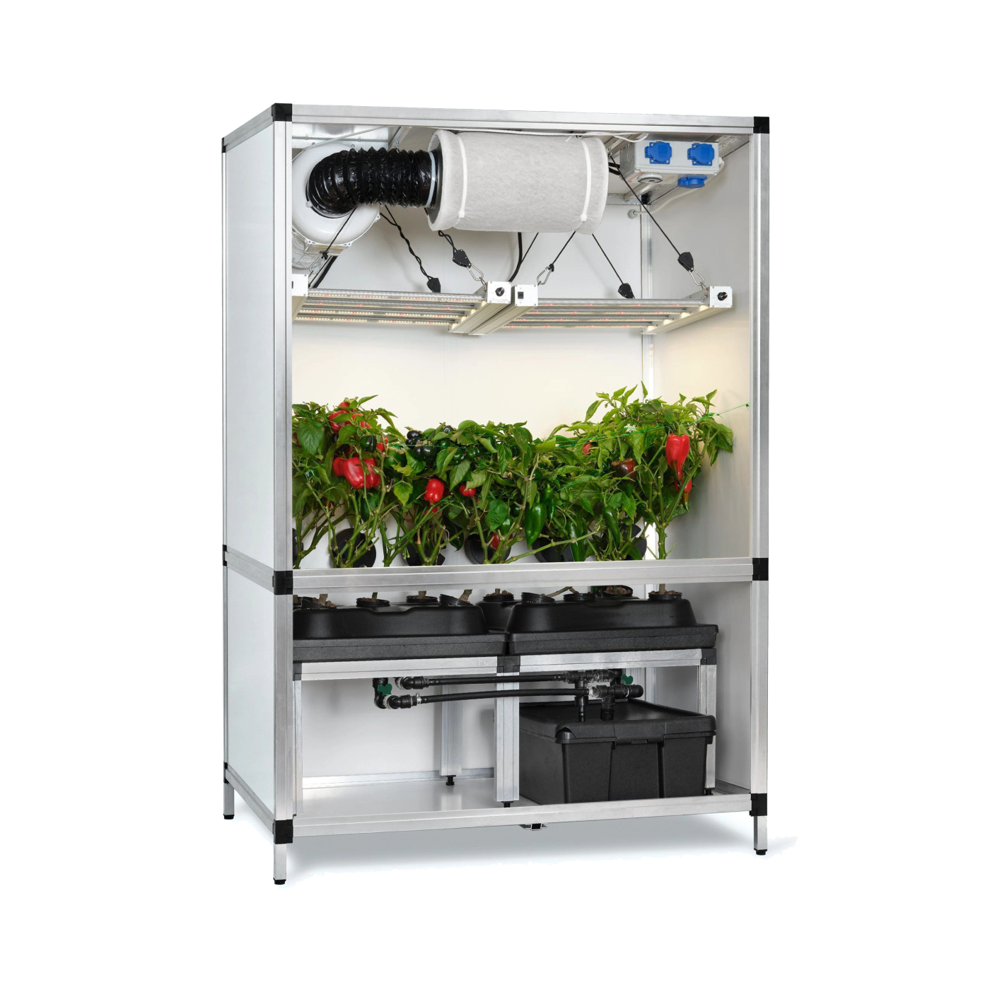G-TOOLS Bonanza G-Bars 170W 1qm Hydro - EigenGrow