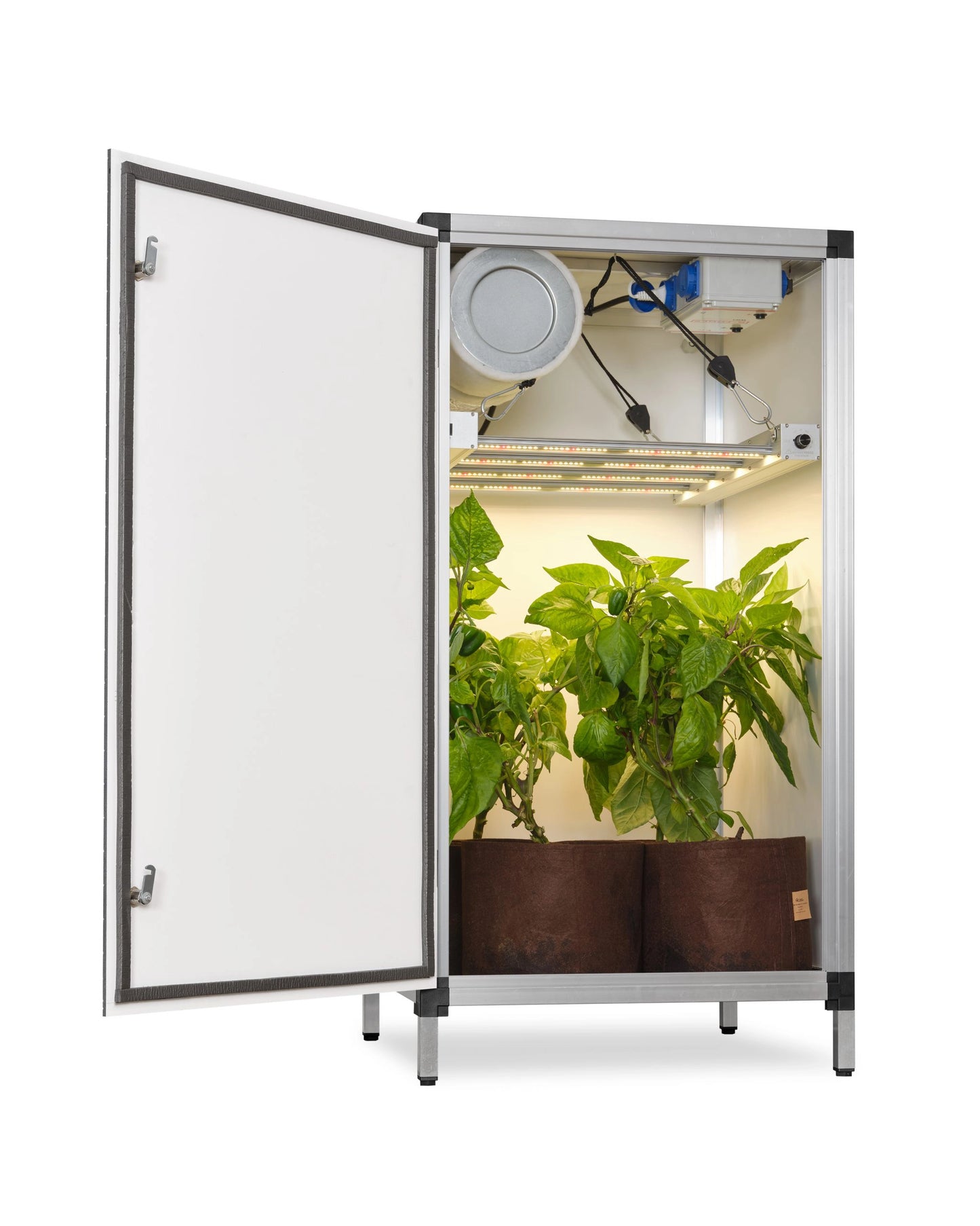 G-TOOLS Bonanza G-Bars 170W LED 0,35qm Tischmodell - EigenGrow