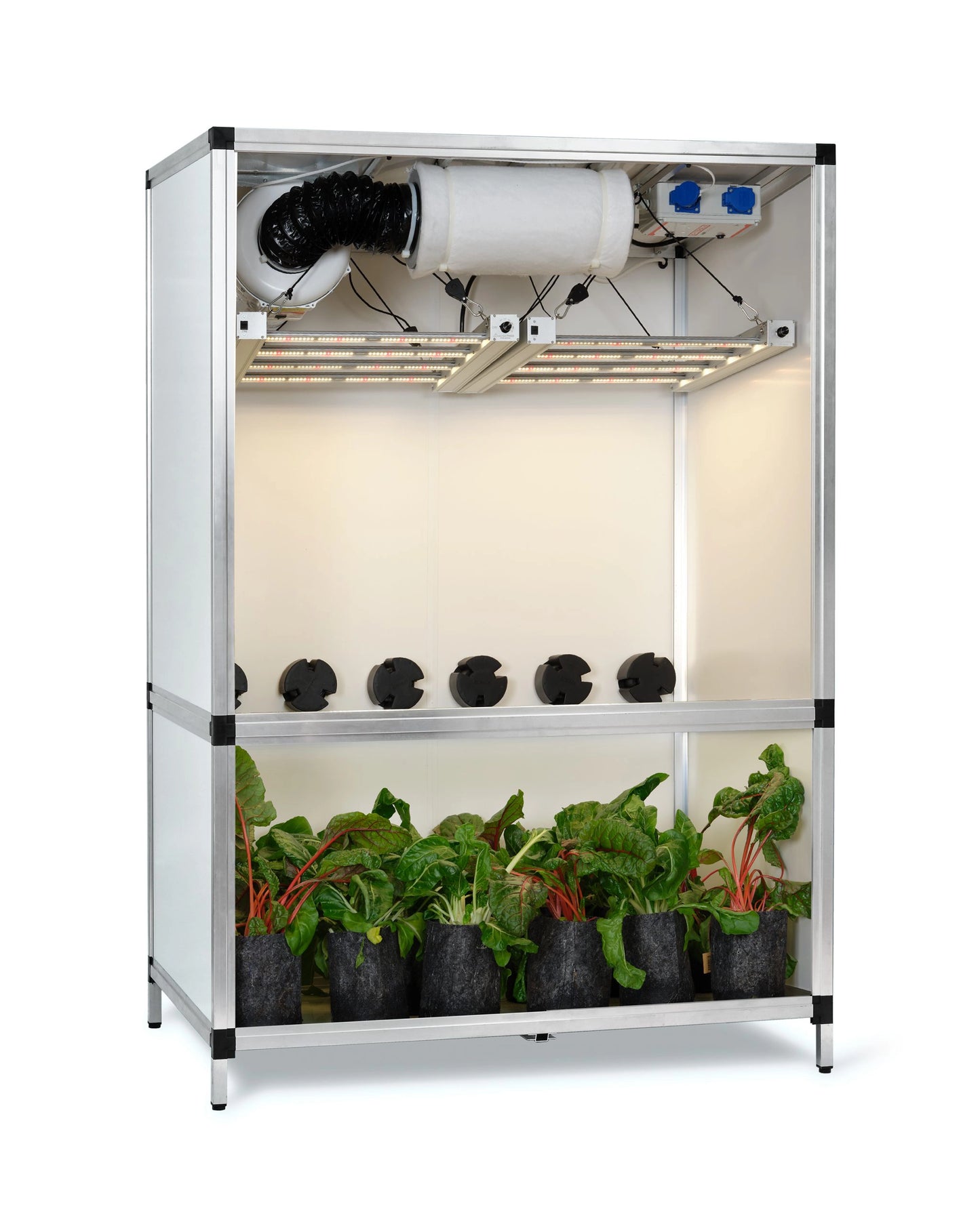 G-TOOLS Bonanza Klima 1qm - EigenGrow