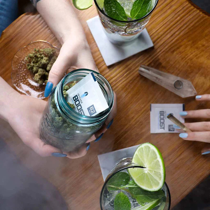 Integra Boost 62% R.H. 8gr. - EigenGrow