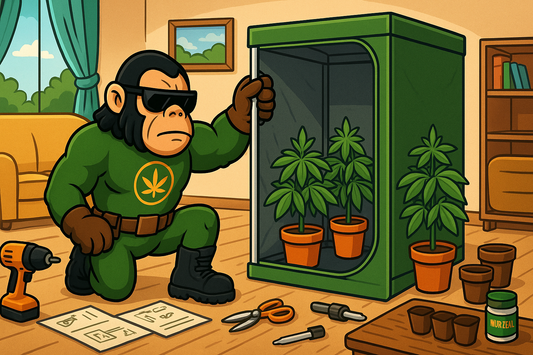 Indoor-Grow für Einsteiger