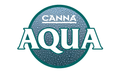 Canna Aqua