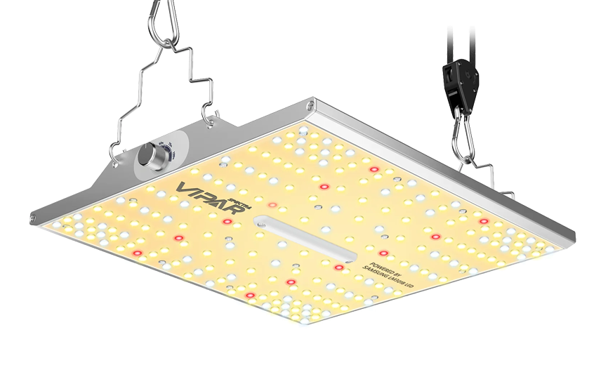 LED Grow Lampen