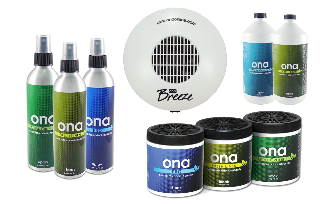Ona