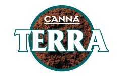 Canna Terra