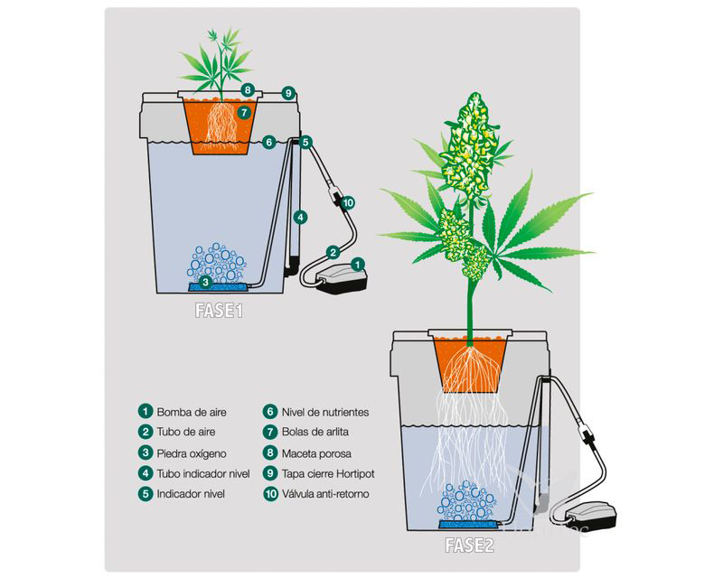 HortiPot | DWC-System