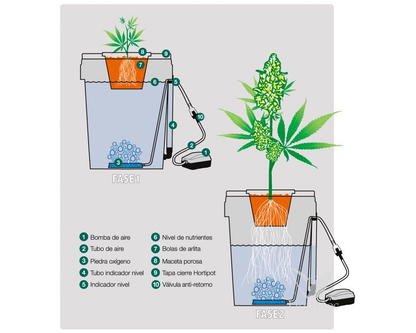 HortiPot | DWC-System
