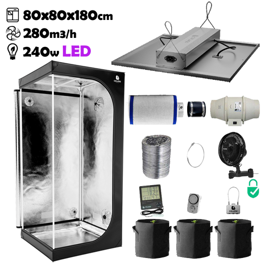 Growbox Komplettset 80x80x180cm 240w LED CALUMA