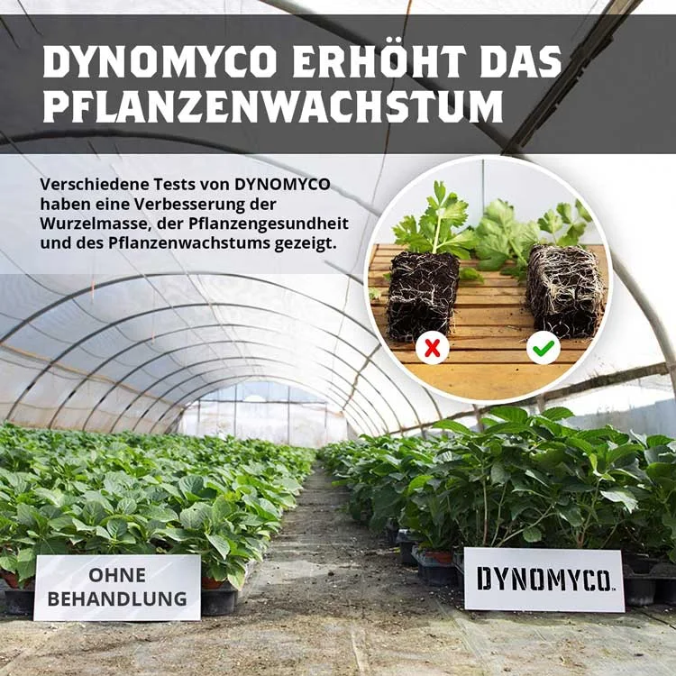 DYNOMYCO® Mykorrhiza Inokulant | 100 g