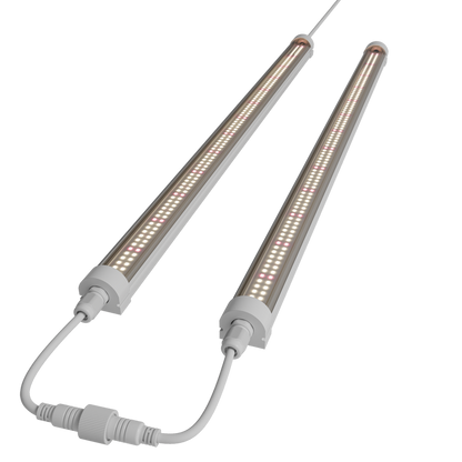 Caluma LED Stripes Bloom 18 W | 60cm