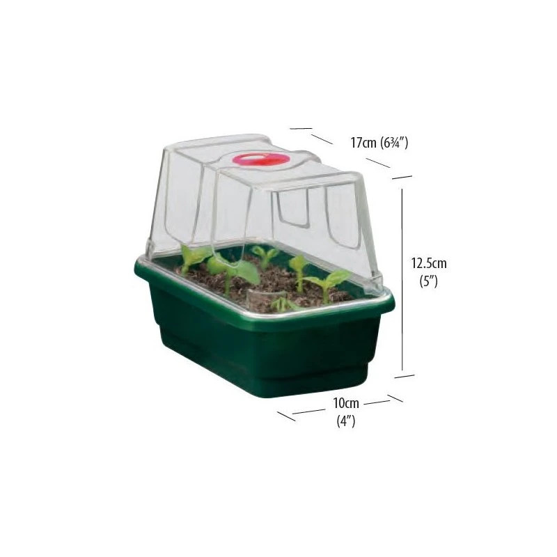 GARLAND Mini Propagator |  17 x 10 x 12,5 cm | 3 er Set
