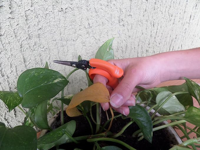 Saboten | Hands Free Trimmschere | PT-5