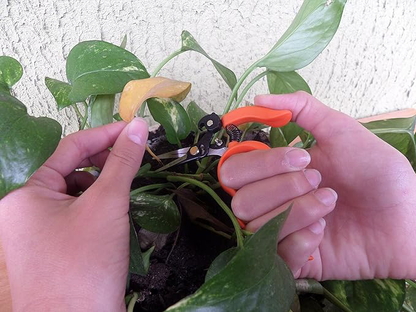 Saboten | Hands Free Trimmschere | PT-5