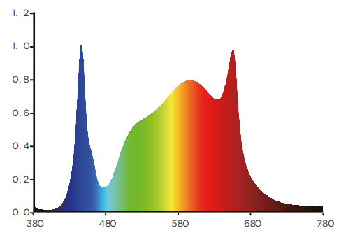 Spider King 360W LED