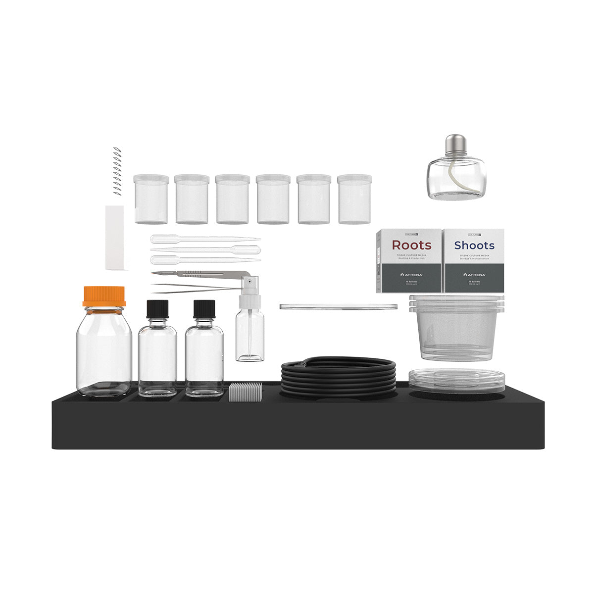 Athena Gewebekultur Kit