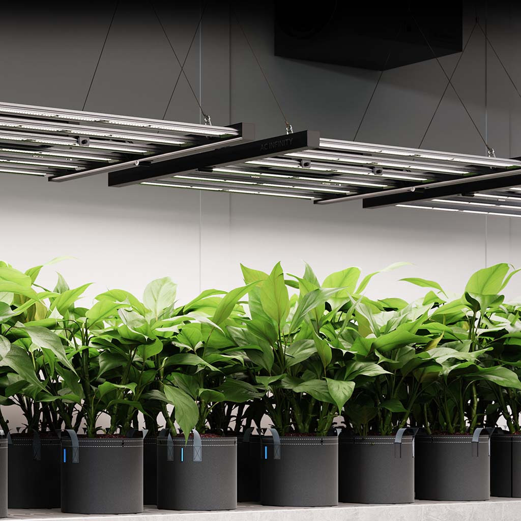 AC Infinity IONFRAME EVO6 LED 500W, Samsung LM301H EVO - EigenGrow