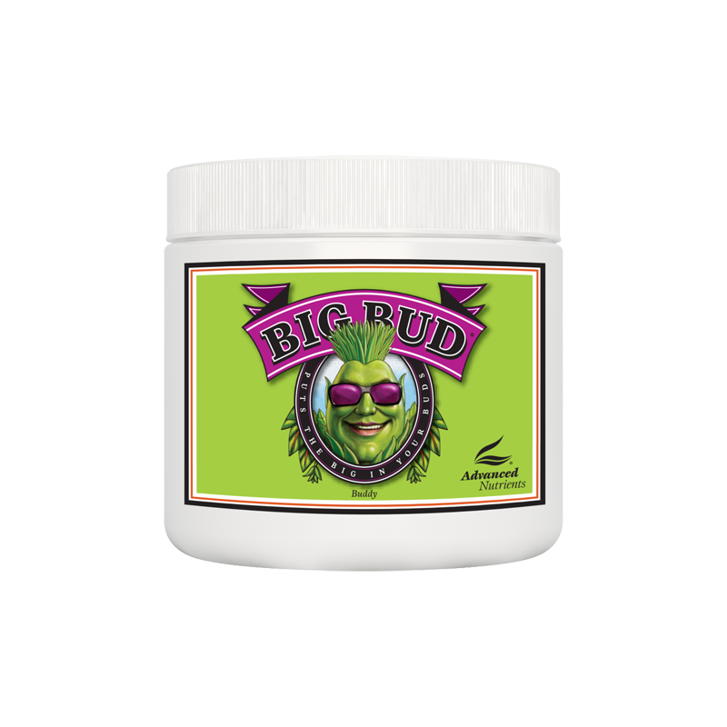 Geavanceerde voedingsstoffen Big Bud Poeder 130g / 500g / 1Kg