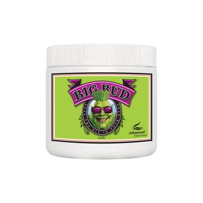 Geavanceerde voedingsstoffen Big Bud Poeder 130g / 500g / 1Kg