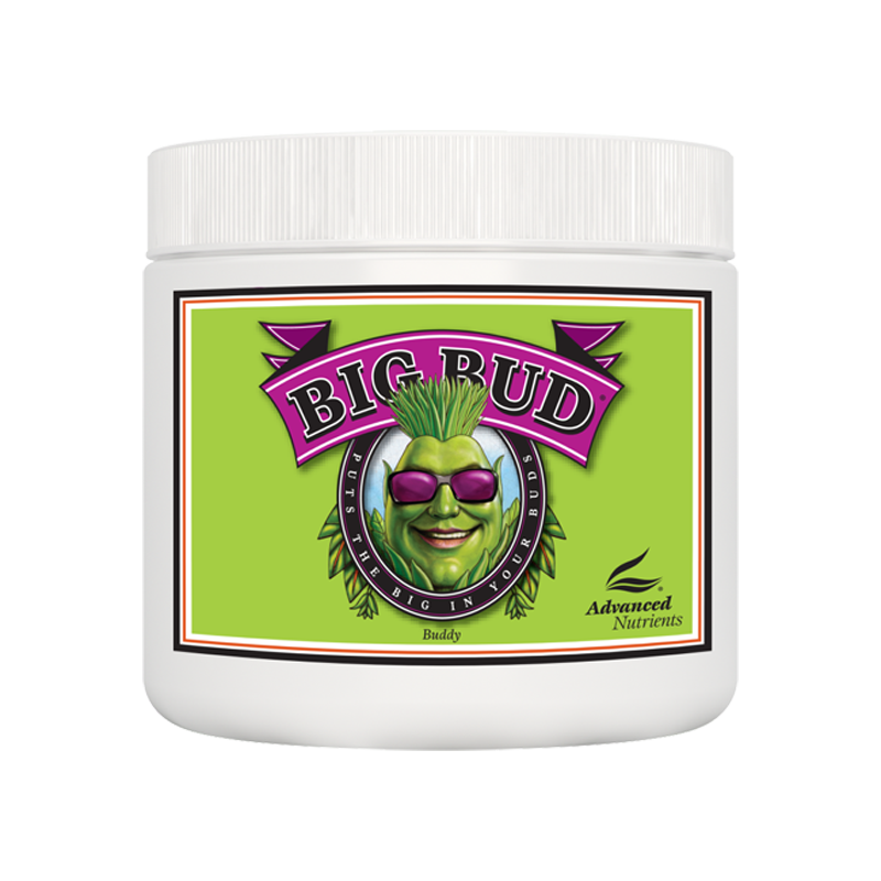 Geavanceerde voedingsstoffen Big Bud Poeder 130g / 500g / 1Kg