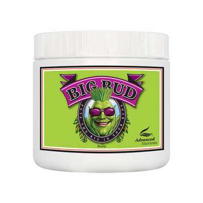 Geavanceerde voedingsstoffen Big Bud Poeder 130g / 500g / 1Kg