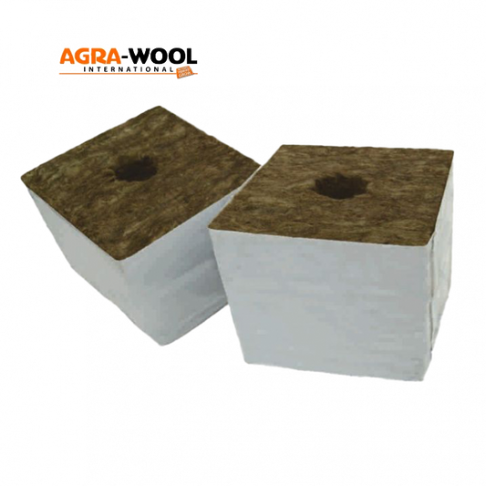Agra Wool - Start Block 7.5*7.5*6.5cm 38mm Loch 10 Stück - EigenGrow