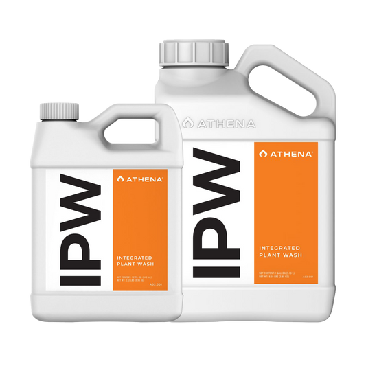 Athena IPW 1L / 4L