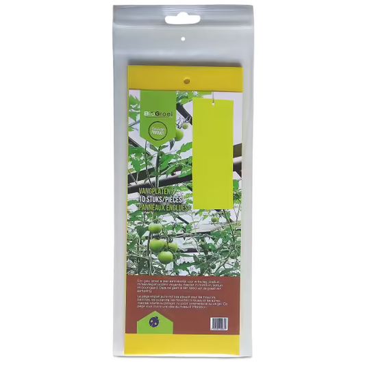 BioGrowi Gelbe Klebetafeln 10x25cm  10 Stück - EigenGrow