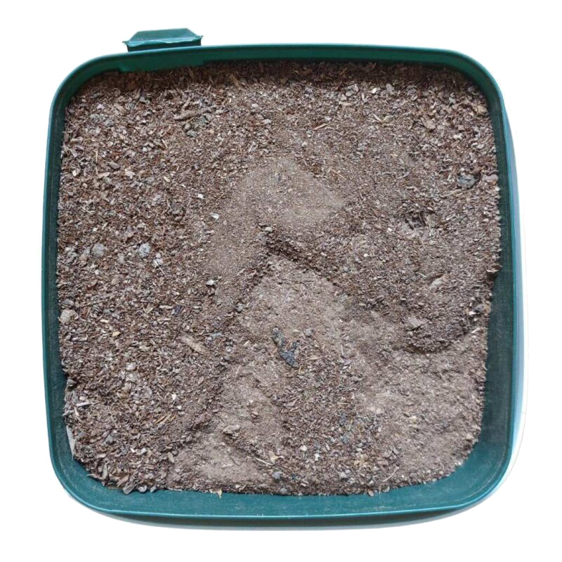 BioTabs Silicium Flash 2500ml (1500g)