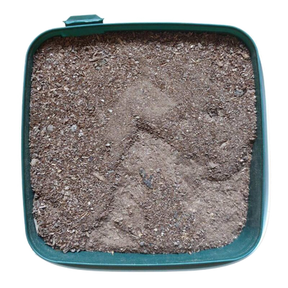 BioTabs Silicium Flash 2500ml (1500g)