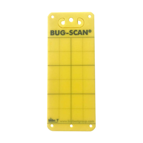 Brimex Klebekarten gelb, 10er Pack - EigenGrow