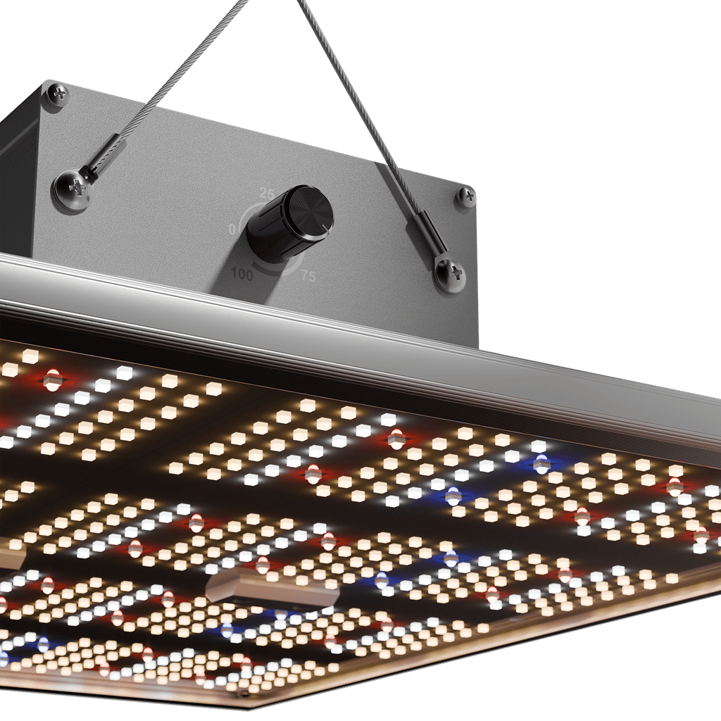 Caluma LED kweeklamp kracht 240 W, 2,7 µmol/J