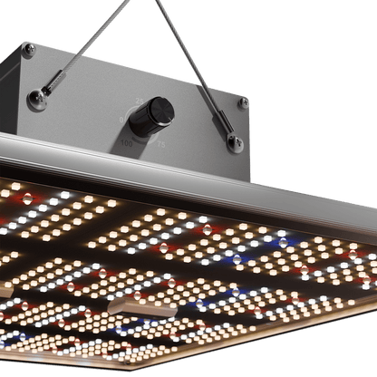Caluma LED kweeklamp kracht 240 W, 2,7 µmol/J
