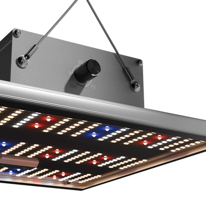 Caluma LED kweeklamp kracht 75 W, 2,7 µmol/J