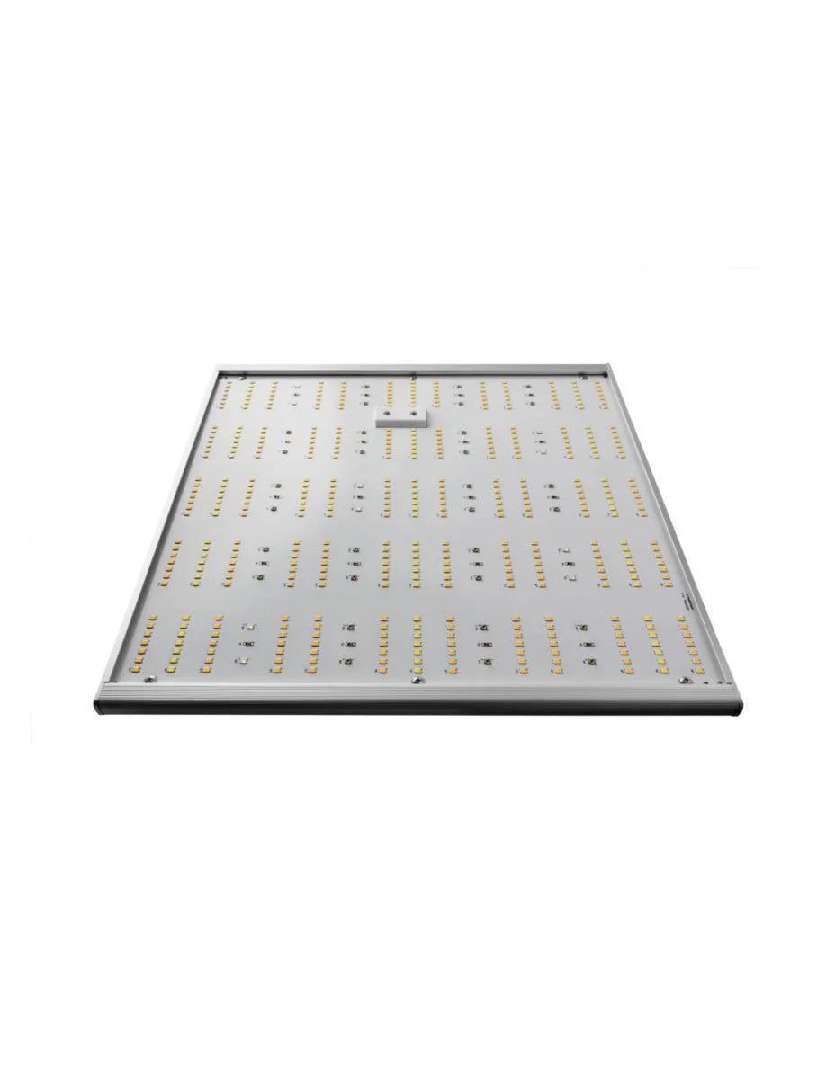 Caluma LED Grow Lampe Force 150 W, 2,7 µmol/J - EigenGrow