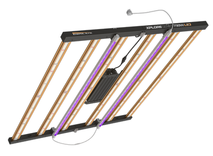 Dimlux 2x25W UV & IR Zusatzleuchte - EigenGrow