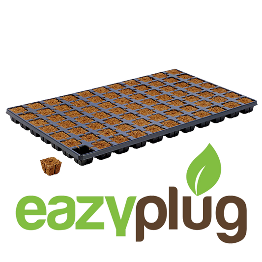EazyPlug Anzucht Plugs 77 Stück im Tray - EigenGrow