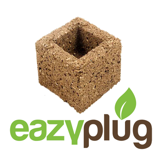 EazyPlug Eazy Block 10 Stück - EigenGrow