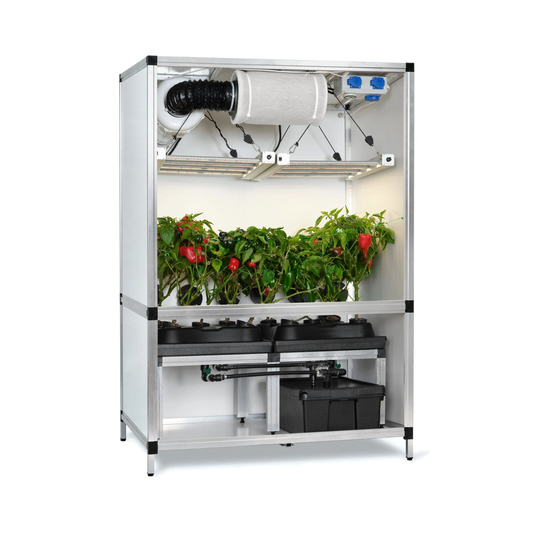 G-TOOLS Bonanza mit Sanlight Evo 3-60 200w - EigenGrow