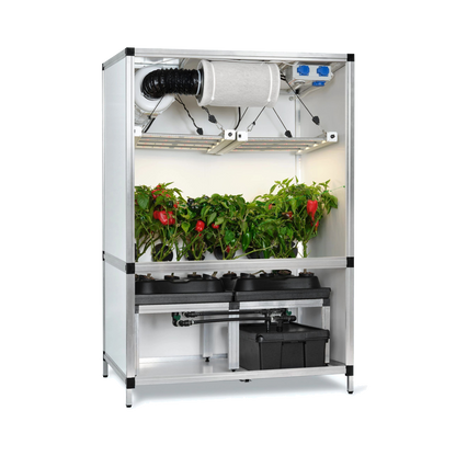G-TOOLS Bonanza G-Bars 170W 1qm Hydro - EigenGrow