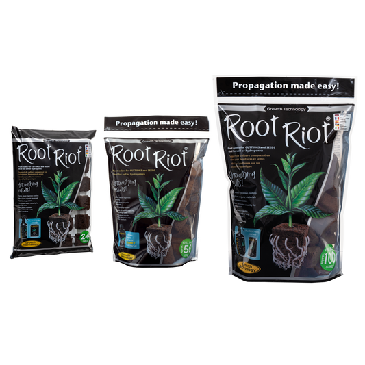 RootRiot 24 / 50 / 100 Stück - EigenGrow