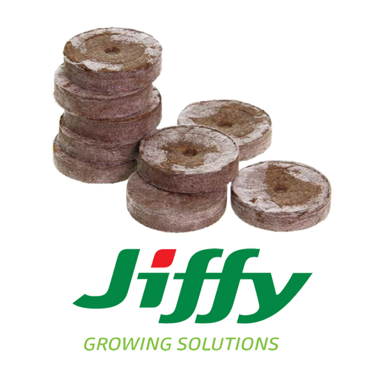 Jiffy Coco Plug gepresst 41 mm 10 Stück