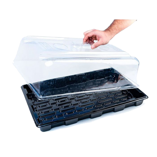 Zimmergewächshaus Budget 59x39x21cm - EigenGrow