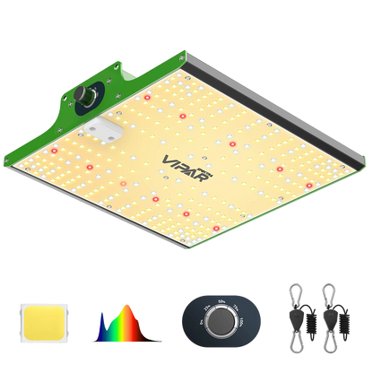 Growbox Komplettset 60x60x180cm 100w LED BASIC