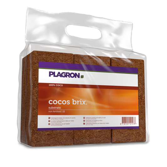 Plagron Cocos Brix 6 Stück - EigenGrow